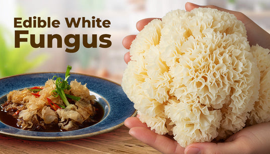Health Benefits of White Fungus & How to Use It in Cooking