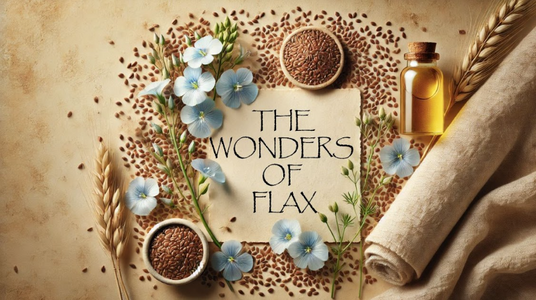 The Many Wonders of Flax: Seed
