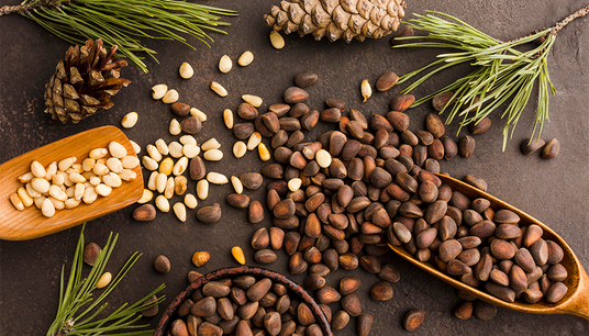 What Are Pine Nuts? Nutrition, Types & Uses Explained