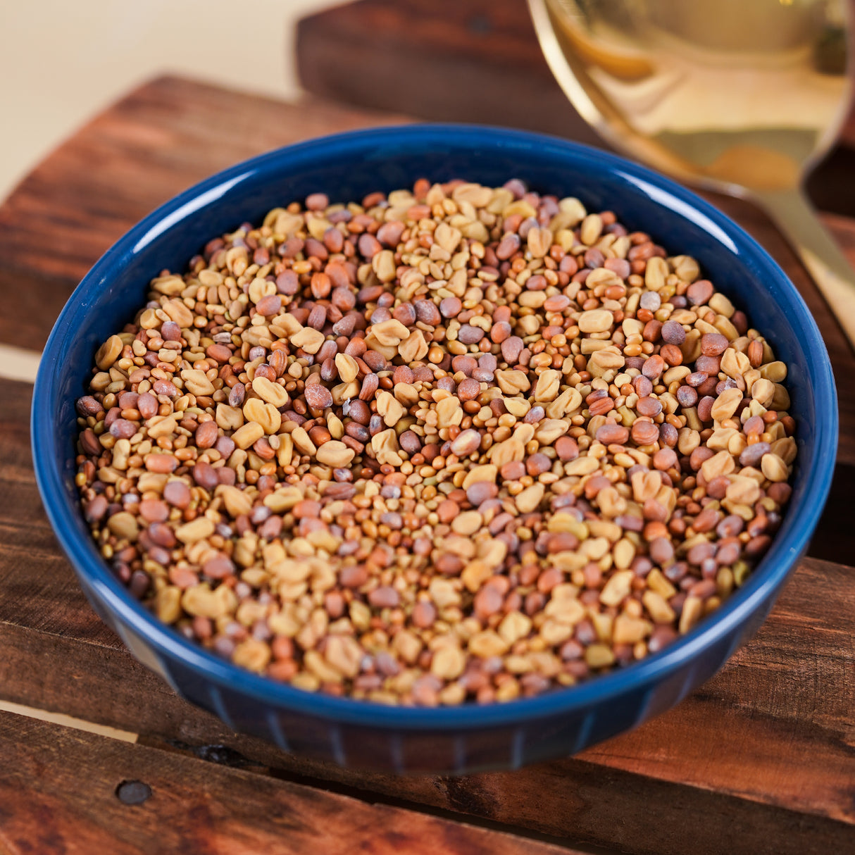 Urban Platter Microgreens Sprouting Mix, 400g (Clover, Radish, Fenugreek & Alfalfa Seeds Mix)