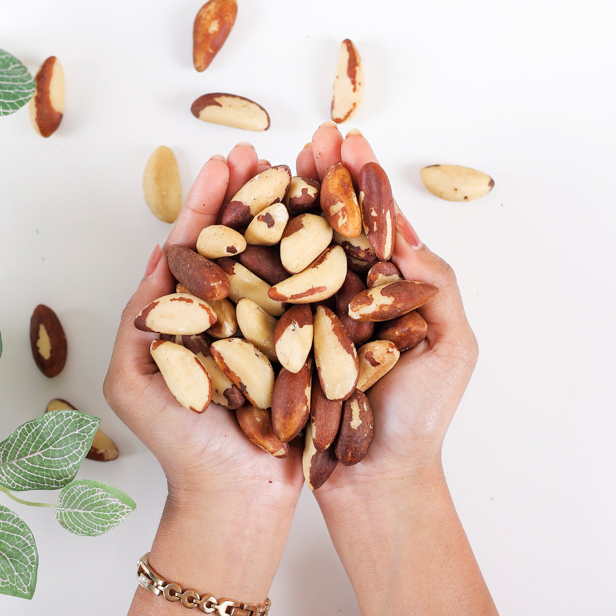 Urban Platter Brazil Nuts, 250g, (Rich in Selenium | Superfood | Have 1 Daily | Product of Peru)