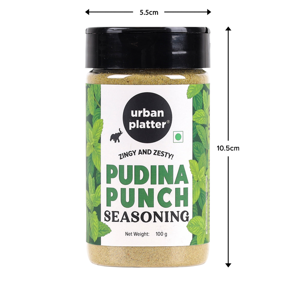 Urban Platter Pudina Punch Seasoning, 100g (Refreshing Minty Blend | Great for Fries, Popcorn, Makhanas & Salads)
