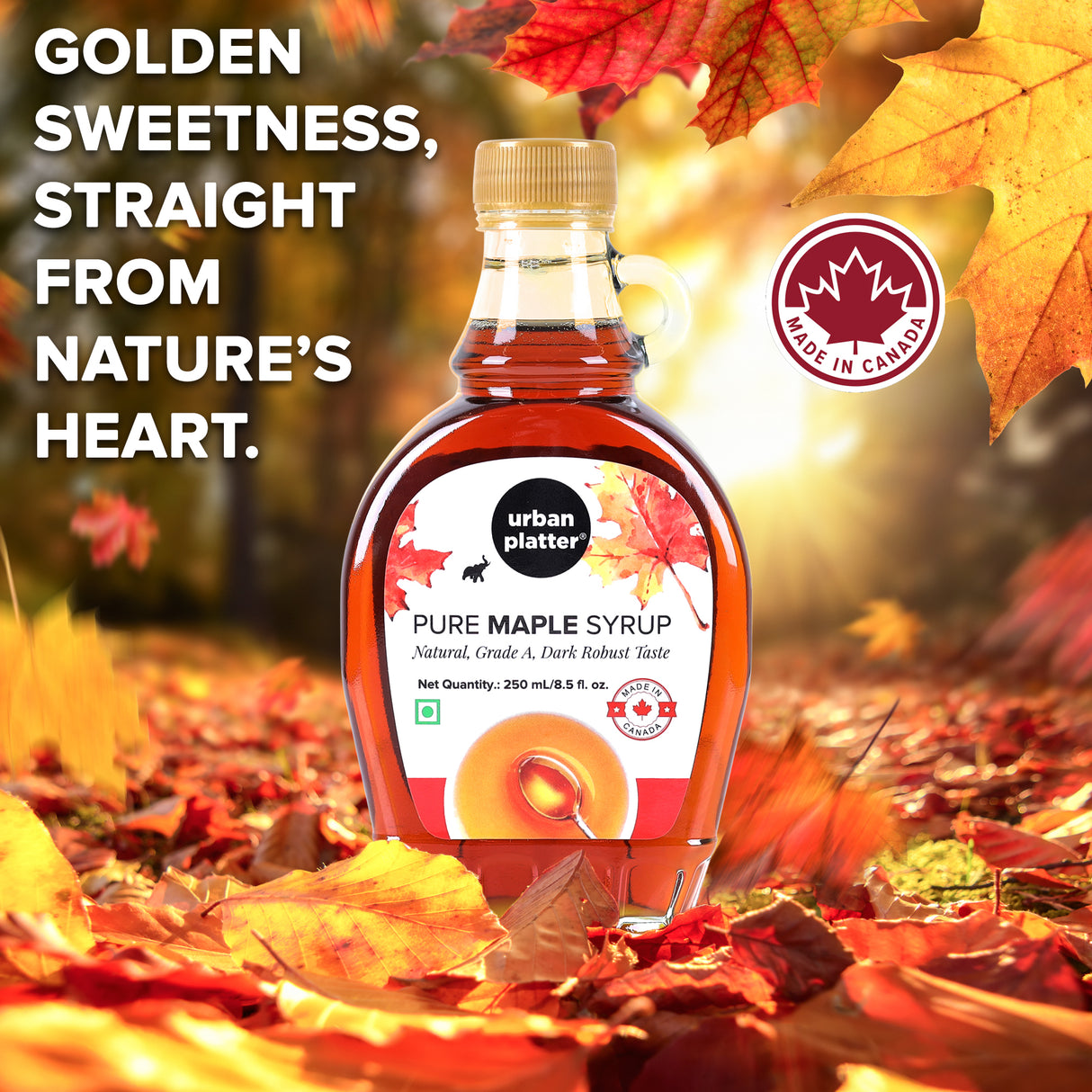 Urban Platter Pure Canadian Maple Syrup, 250ml