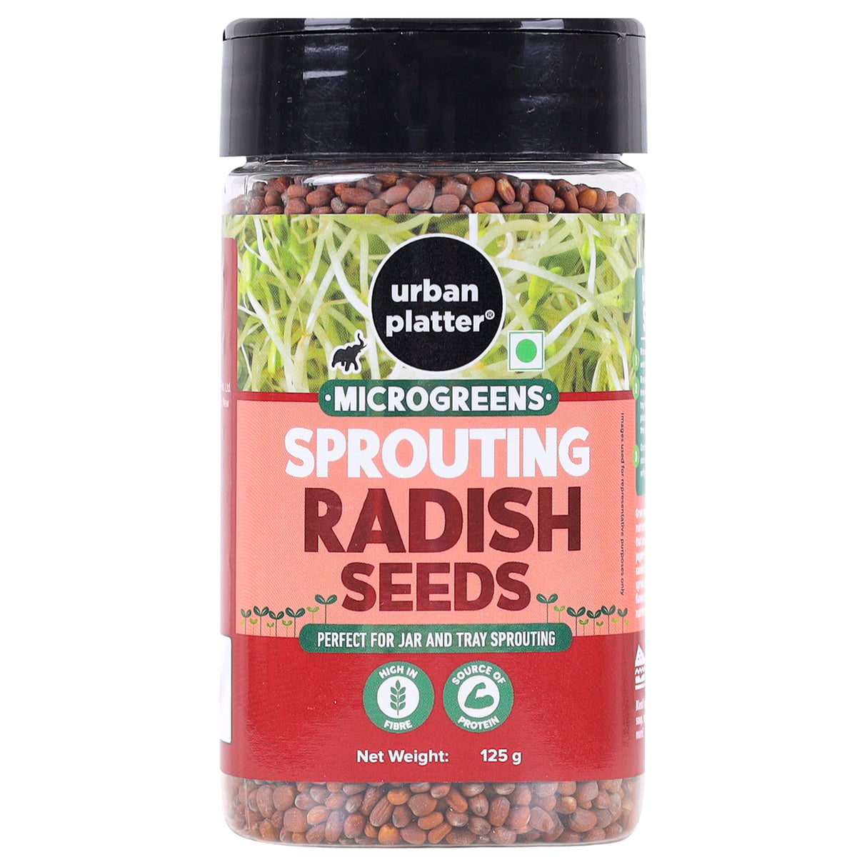 Urban Platter Microgreens Radish Sprouting Seeds Shaker Jar, 125g (Nutritious Addition to Salads & Sandwiches) - front pack