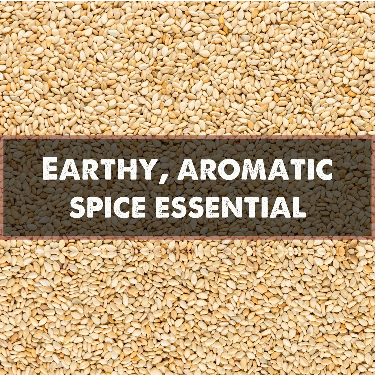 Urban Platter White Sesame (Safed Til) Seeds Shaker Jar, 600g