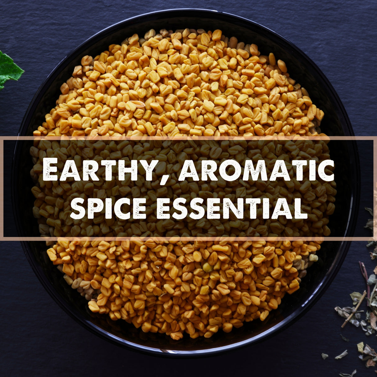 Whole Fenugreek Seeds, 125g (Methi Dana | Sprouting Microgreens | Traditional Indian Spice | For Curries, Pickles and Tempering)
