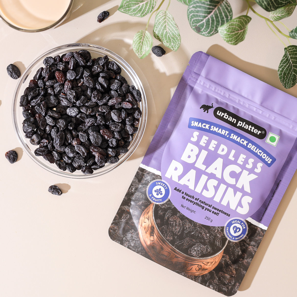 Urban Platter Seedless Black Raisins, (Sweet & Juicy | Sun-Dried & Seedless | Ideal for Baking | Ayurveda Superfood)