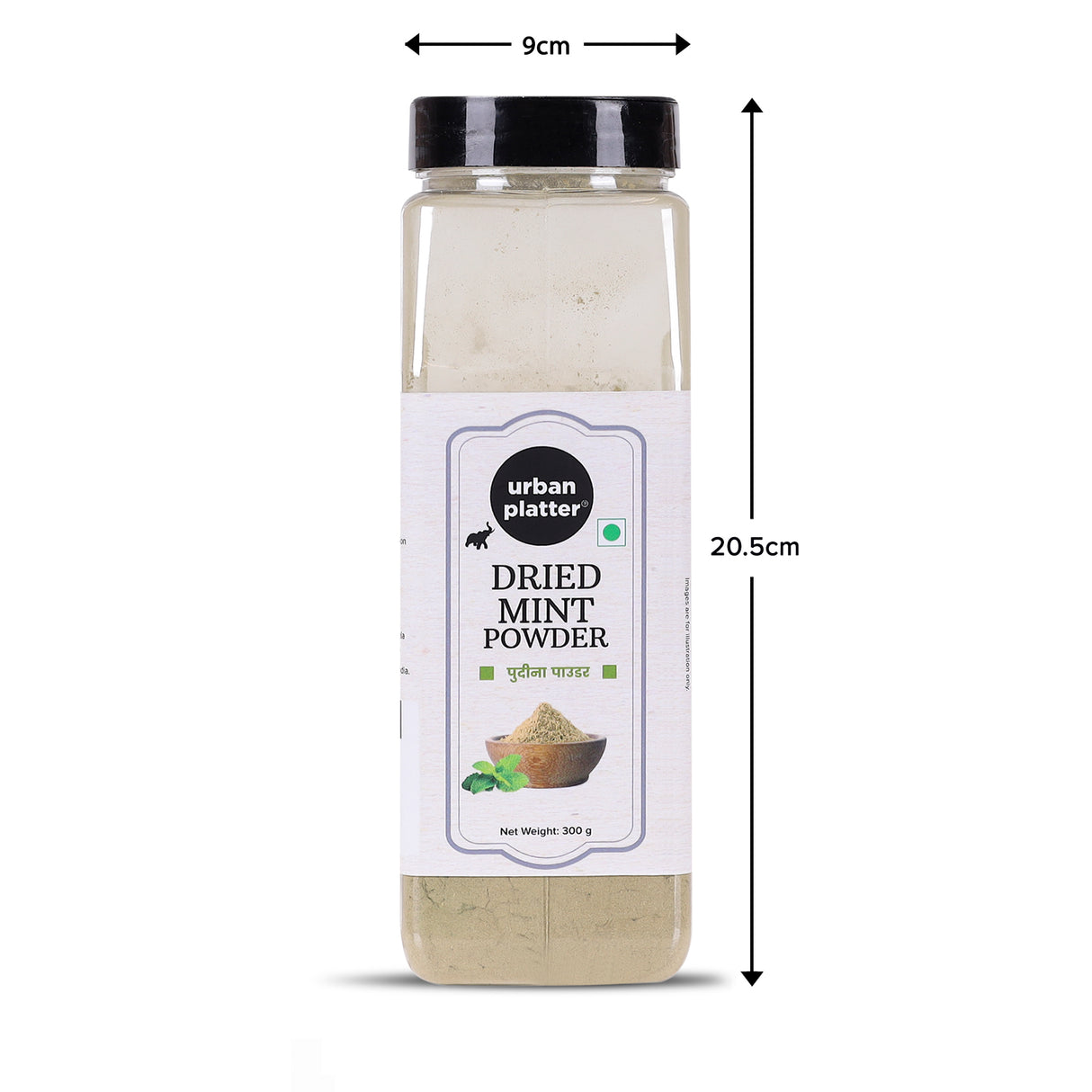 Urban Platter Dried Mint (Pudina) Powder, 300g