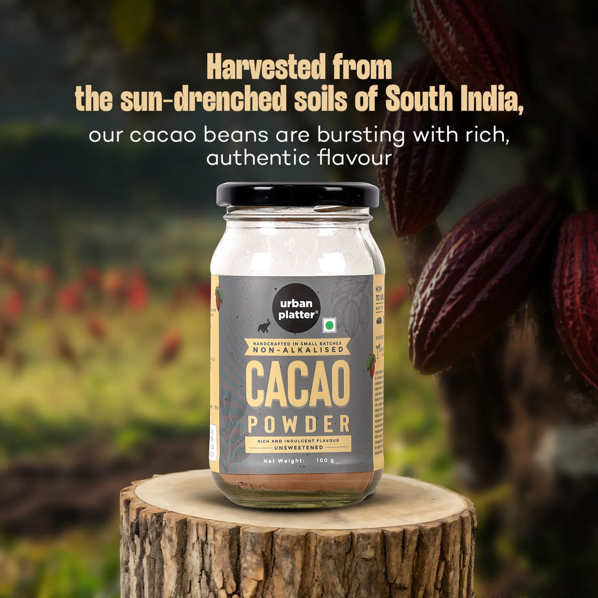 Urban Platter Non-Alkalized Cacao Powder, 100g