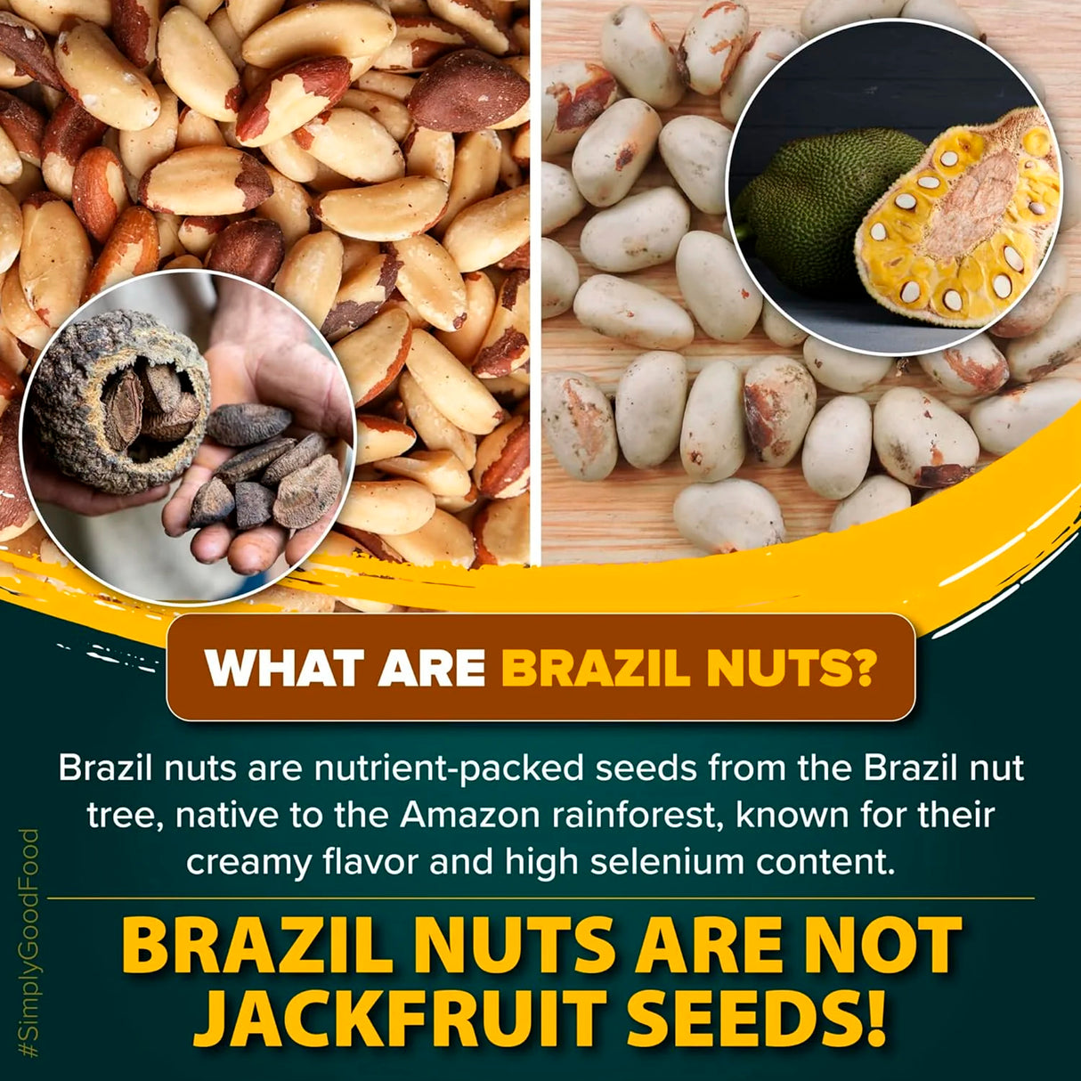 Urban Platter Brazil Nuts, 250g, (Rich in Selenium | Superfood | Have 1 Daily | Product of Peru)
