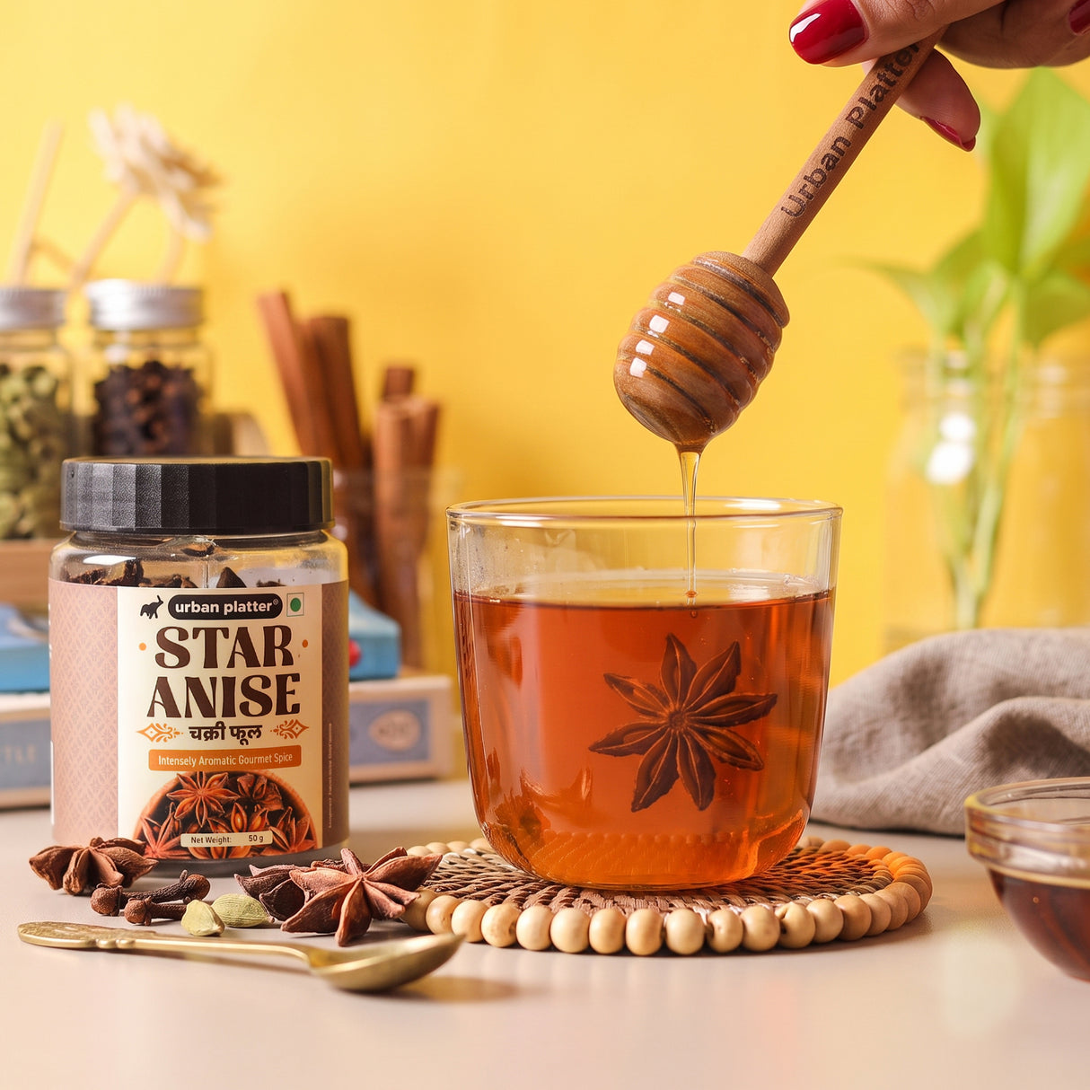 Star Anise, 100g (Chakri Phool | Warm, Licorice like Flavour | Highly Aromatic Spice used in Biryanis, Broths, Asian Cuisine & Baking)