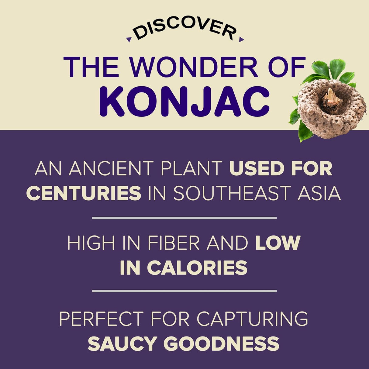 Urban Platter Shirataki Konjac Noodles, 270g (Fat-Free, Gluten-Free, Low Carb, Ready to Use)