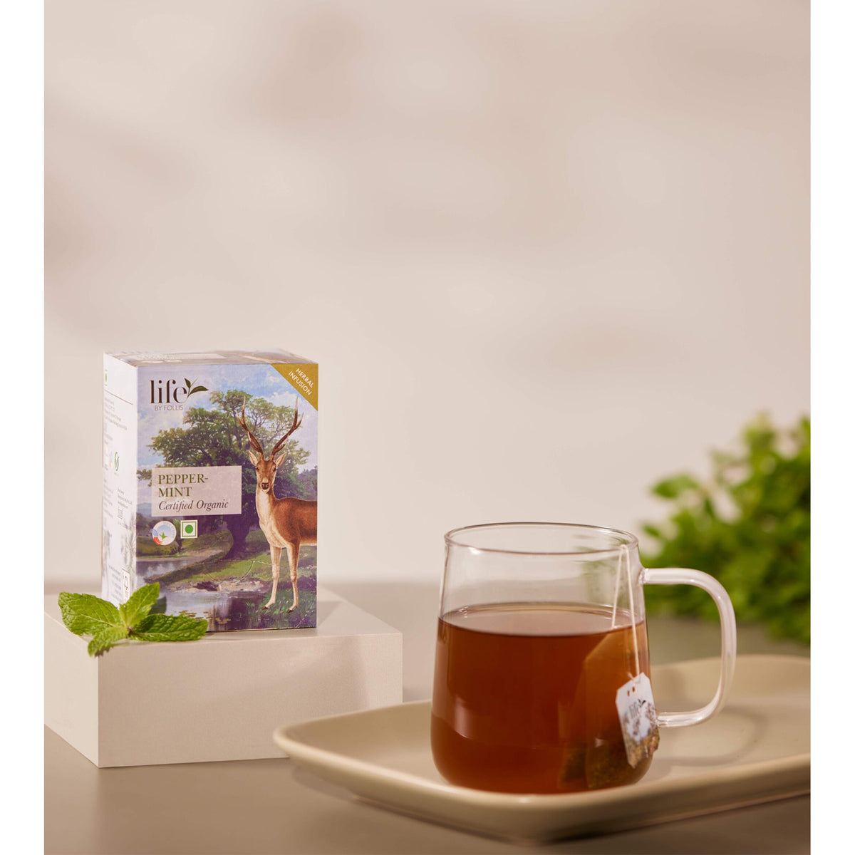 Peppermint Herbal Tea, 36g (Organic, 20 Tea Bags)
