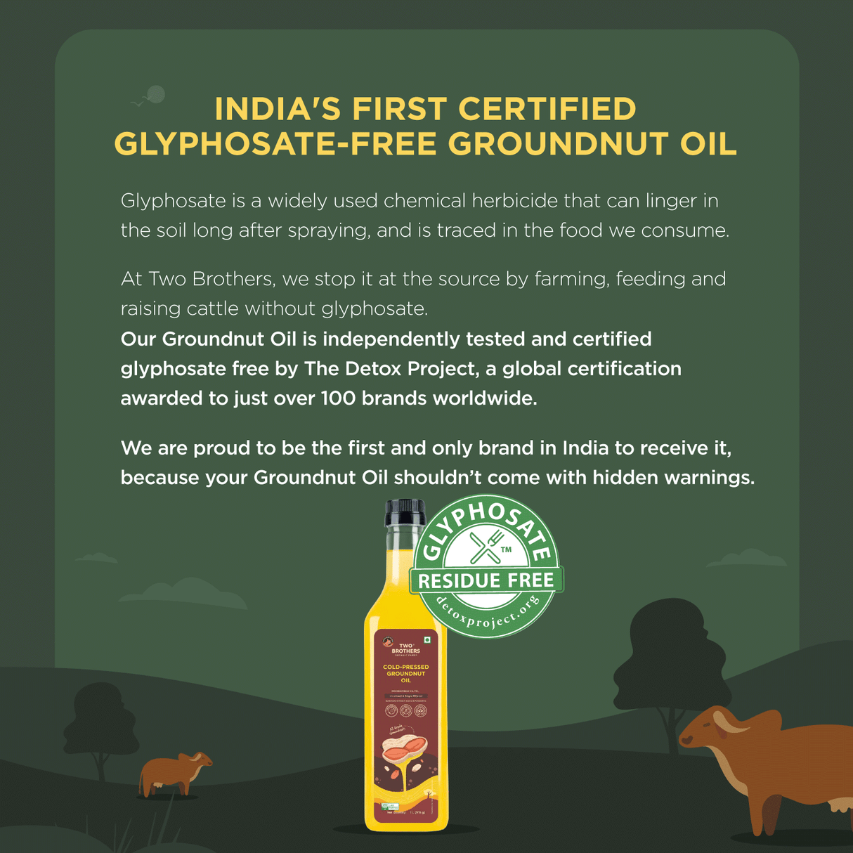 Two Brothers Organic Farms Groundnut Oil, 1L (Cold Pressed Kacchi Ghani, Unrefined, Single-Filtered, Natural Shengdana Oil for Cooking & Frying, Rich Nutty Aroma, Mungfali Tel)