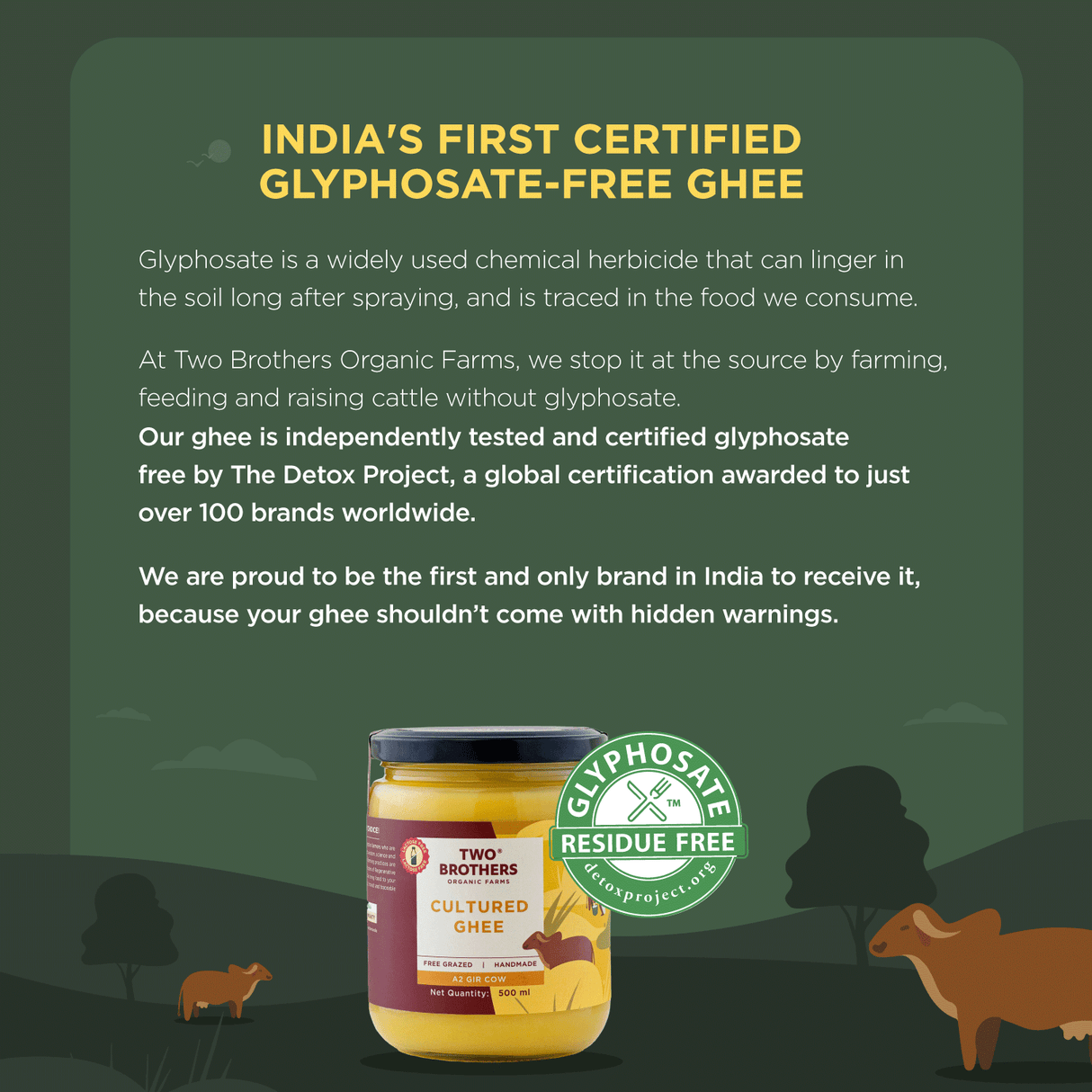 Two Brothers Organic Farms A2 Ghee, 500ml (Free-grazed, Grass-fed Desi Gir Cows, Traditional Bilona Method, Pure, Natural and Healthy Ghee, Farm-Made A2 Cow Ghee with Probiotics for Gut Health)