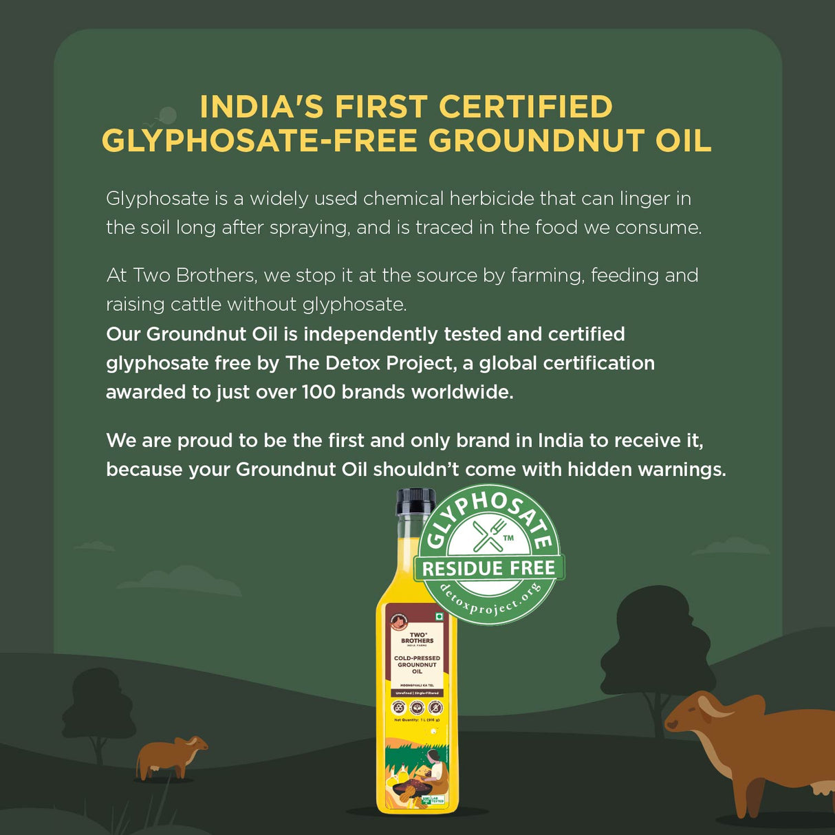 Groundnut Oil, 1L (Cold Pressed Kacchi Ghani, Unrefined, Single-Filtered, Natural Shengdana Oil for Cooking & Frying, Rich Nutty Aroma, Mungfali Tel)
