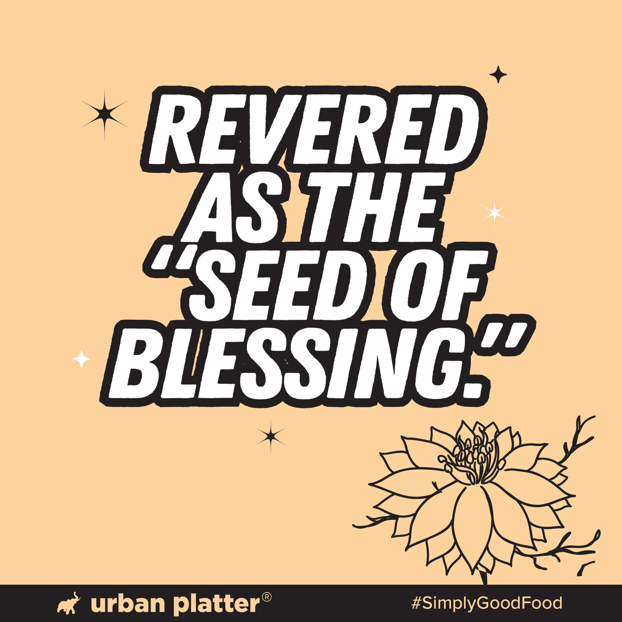 Urban Platter Black Seed Oil, 15ml (Consume daily for overall well being and vitality) - product image 4