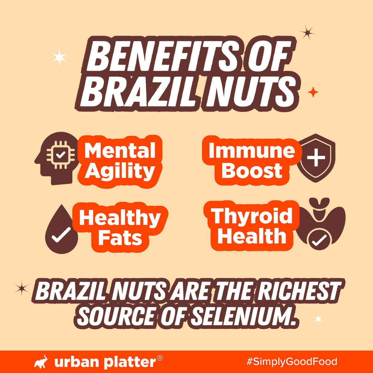 Urban Platter Brazil Nuts, 500g (Rich in Selenium, Superfood, Have 1 Daily, Product of Peru)