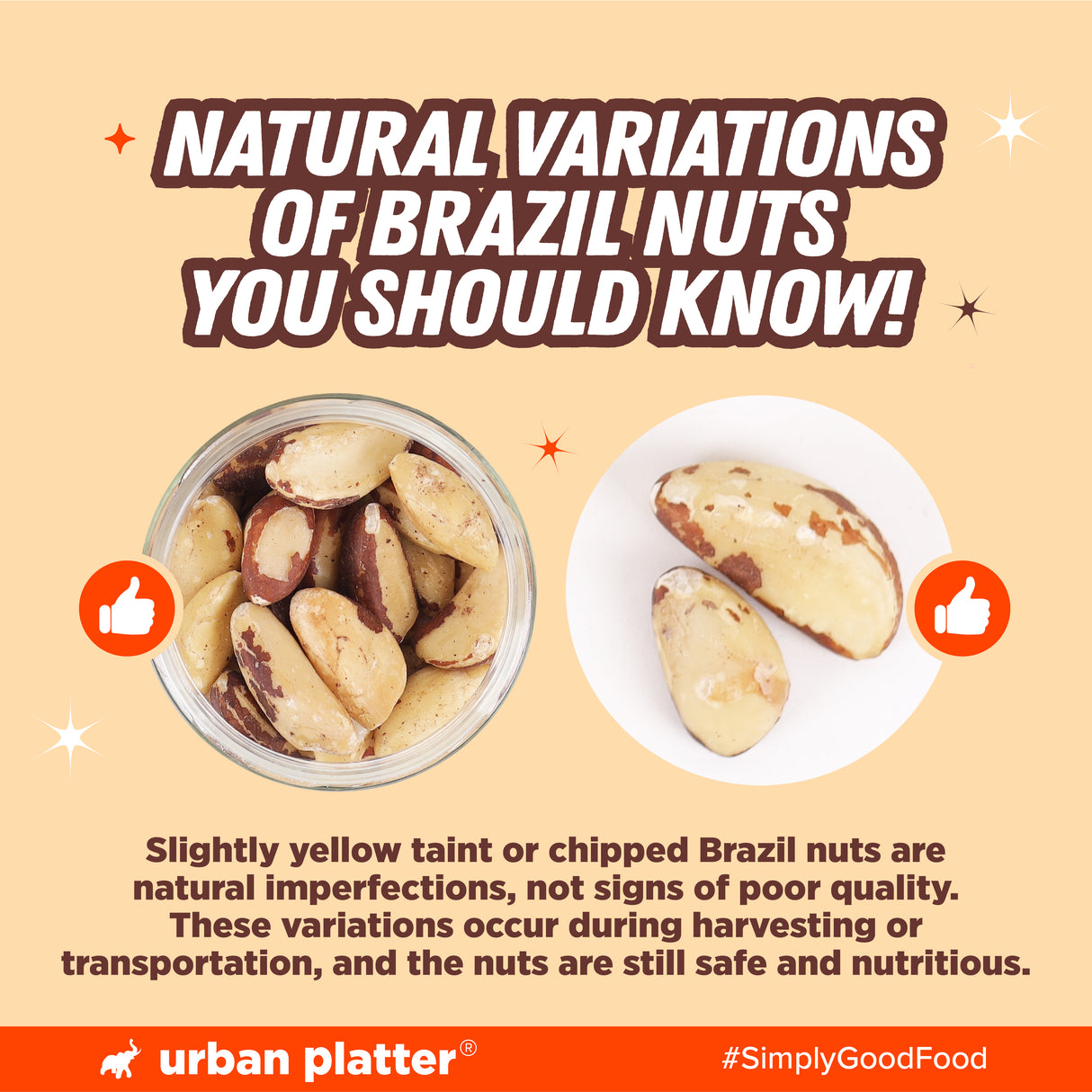 Urban Platter Brazil Nuts, 250g, (Rich in Selenium | Superfood | Have 1 Daily | Product of Peru)