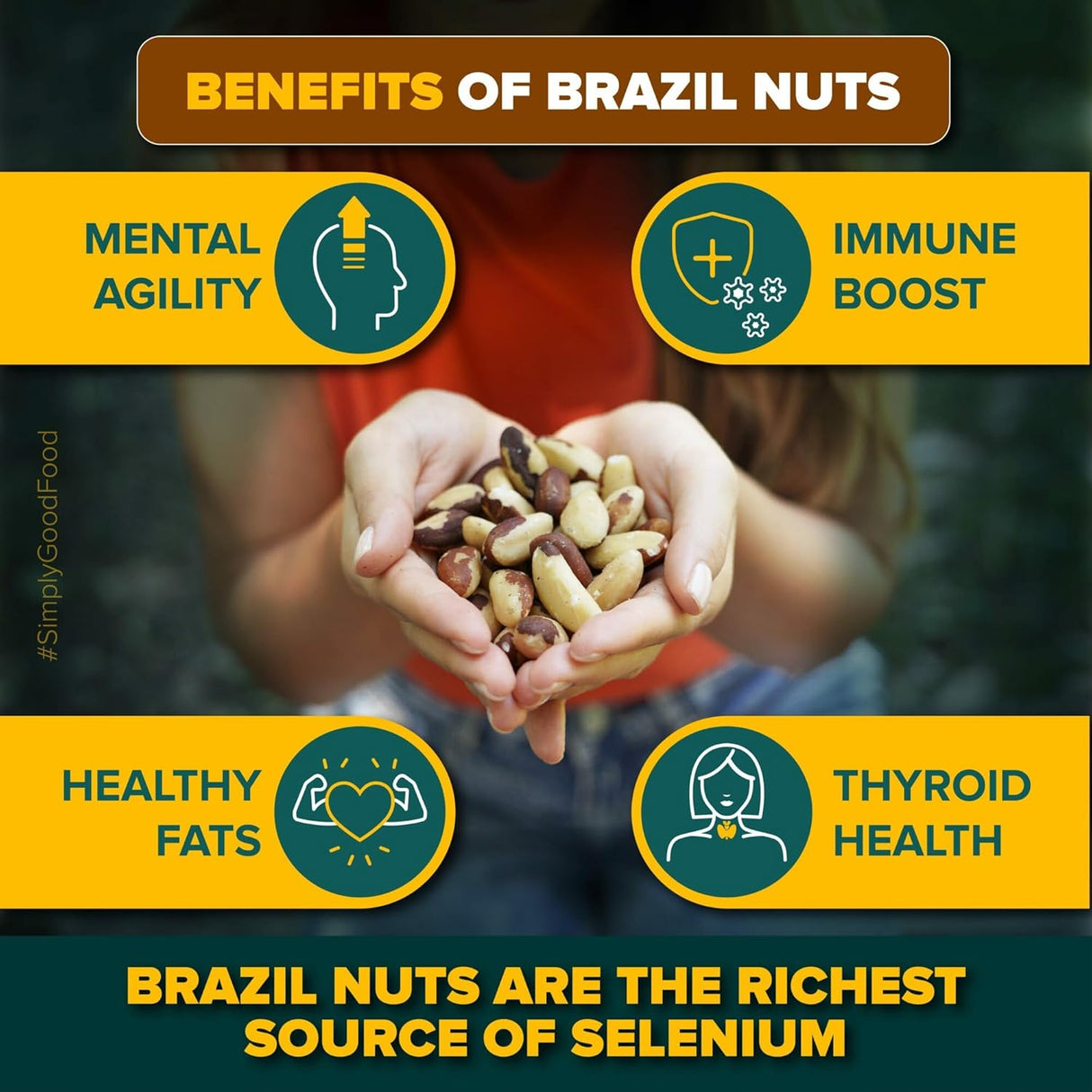 Urban Platter Brazil Nuts, 500g (Rich in Selenium | Superfood | Have 1 Daily | Product of Peru)
