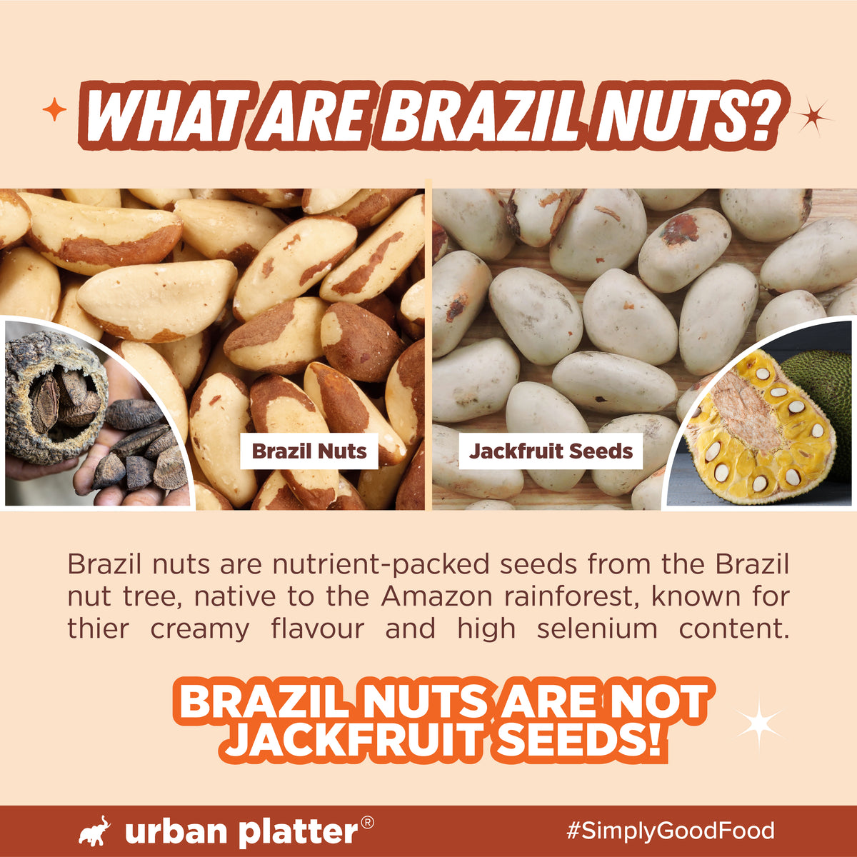 Broken Brazil Nuts, 200g (Naturally Broken Pieces for Convenience | Rich in Selenium | Superfood | Have 1 Daily | Product of Peru)