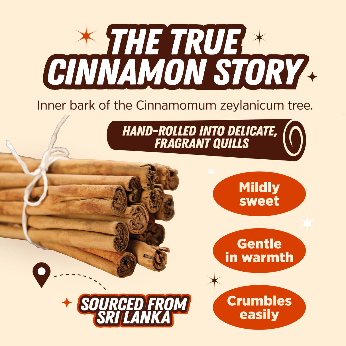 Urban Platter Ceylon Cinnamon Quills, 100g (True Cinnamon | Origin of Sri Lanka )