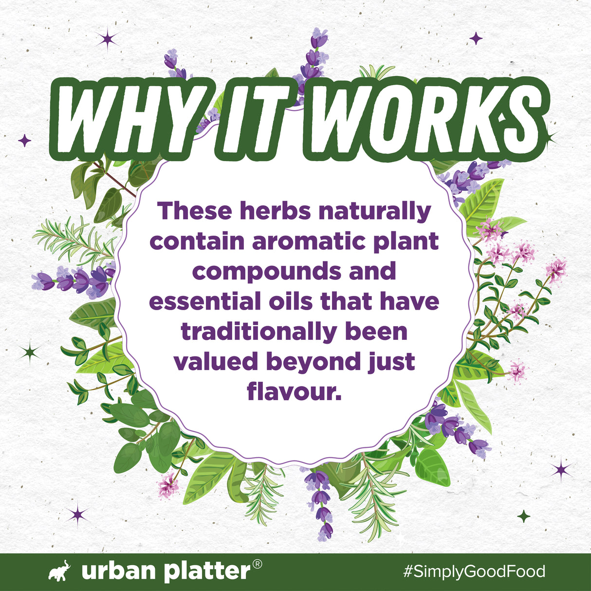 Urban Platter Herbs de Provence Seasoning, 40g (French-inspired, Jain-Friendly, Mesmerising blend of signature herbs)