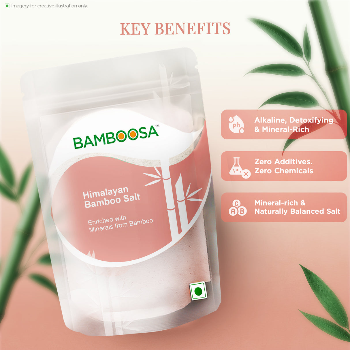 Bamboosa Himalayan Bamboo Salt,500g (Mineral-Rich, Alkaline Salt for Cooking & Wellness)