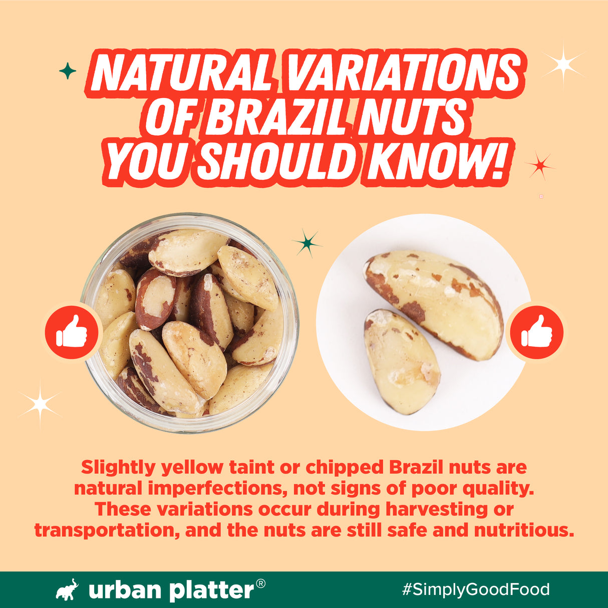 Urban Platter Brazil Nuts, 120g (Monthly Consumption Pack, Rich In Selenium, Have 1 Daily, 30 single serve brazil nut sachets)
