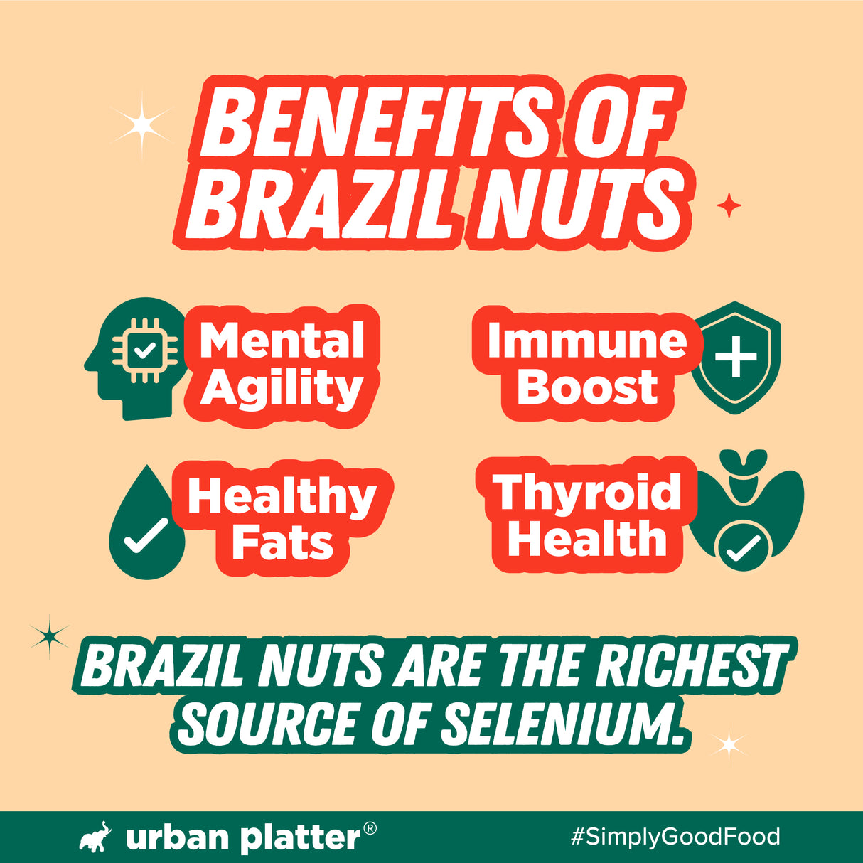 Urban Platter Brazil Nuts, 120g (Monthly Consumption Pack, Rich In Selenium, Have 1 Daily, 30 single serve brazil nut sachets)