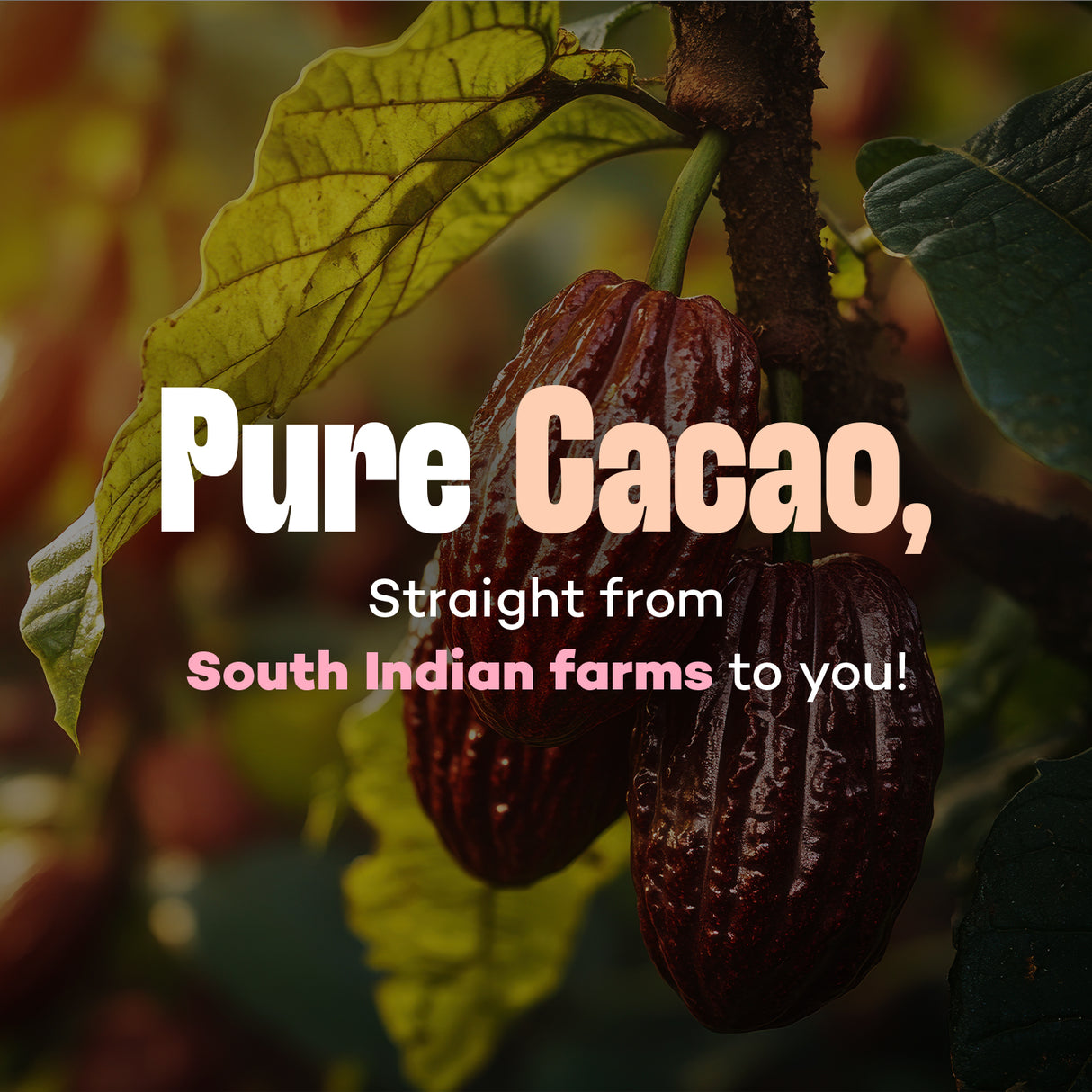 Mason & Co. Non-Alkalised Organic Vegan Artisanal Indian Cacao Powder, 300g