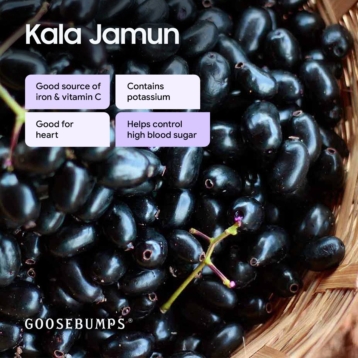 Goosebumps Masala Kala Jamun | Indian BlackBerry | Dehydrated Fruit | Dried Jamun Strips | Chatpata Dried Fruits Healthy Snack for Kids and Adults | 150 GMS