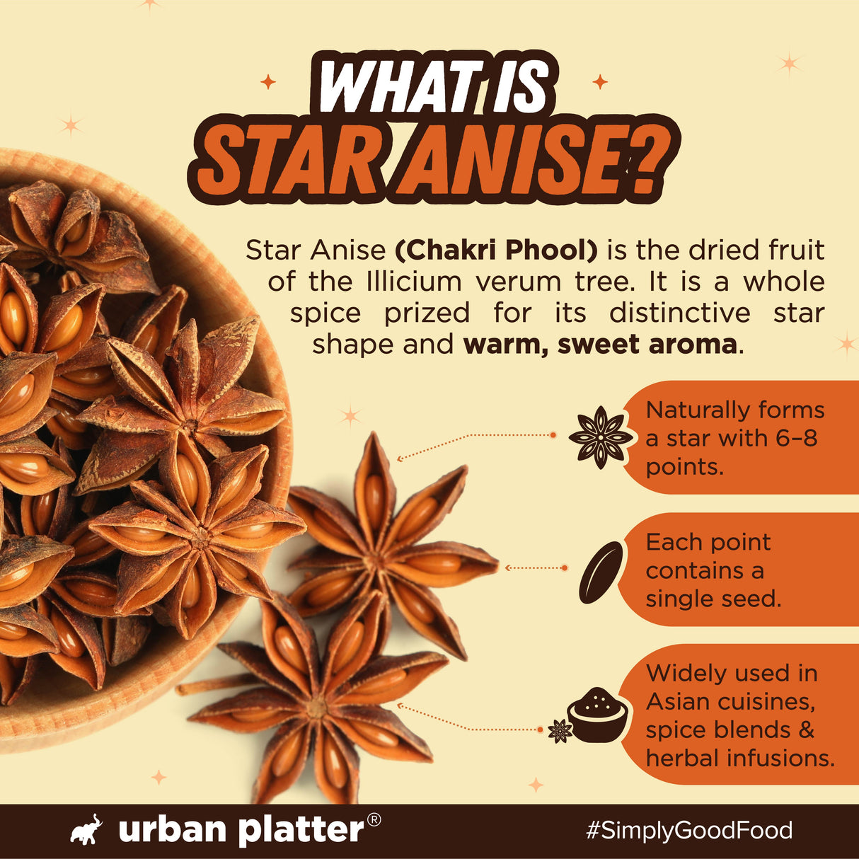 Star Anise, 100g (Chakri Phool | Warm, Licorice like Flavour | Highly Aromatic Spice used in Biryanis, Broths, Asian Cuisine & Baking)