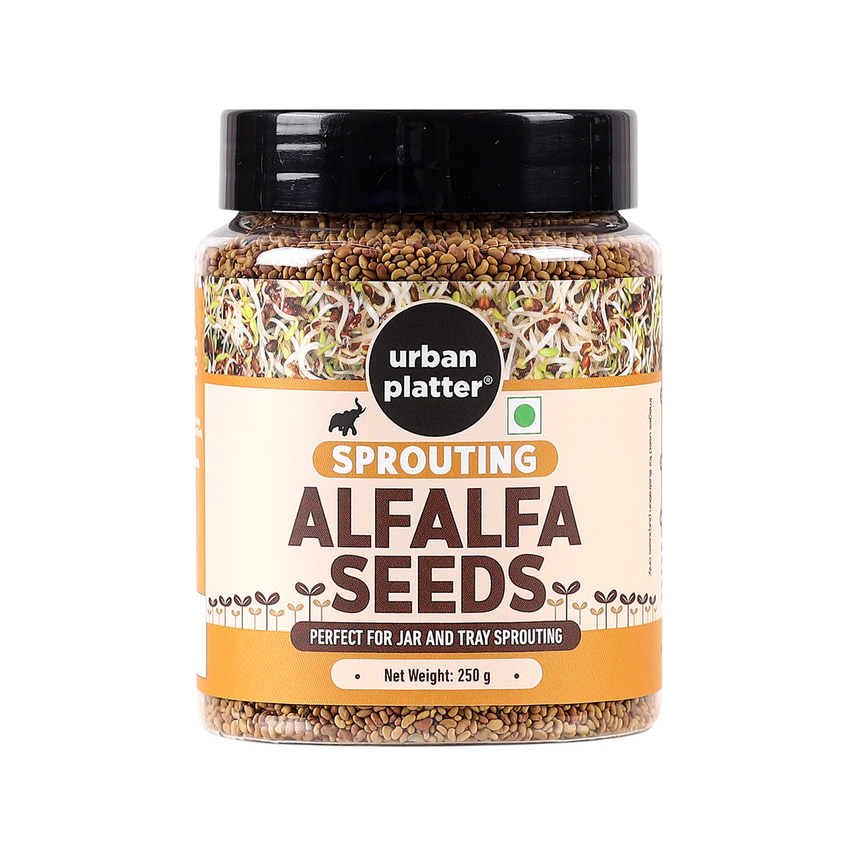 Urban Platter Alfalfa Seeds