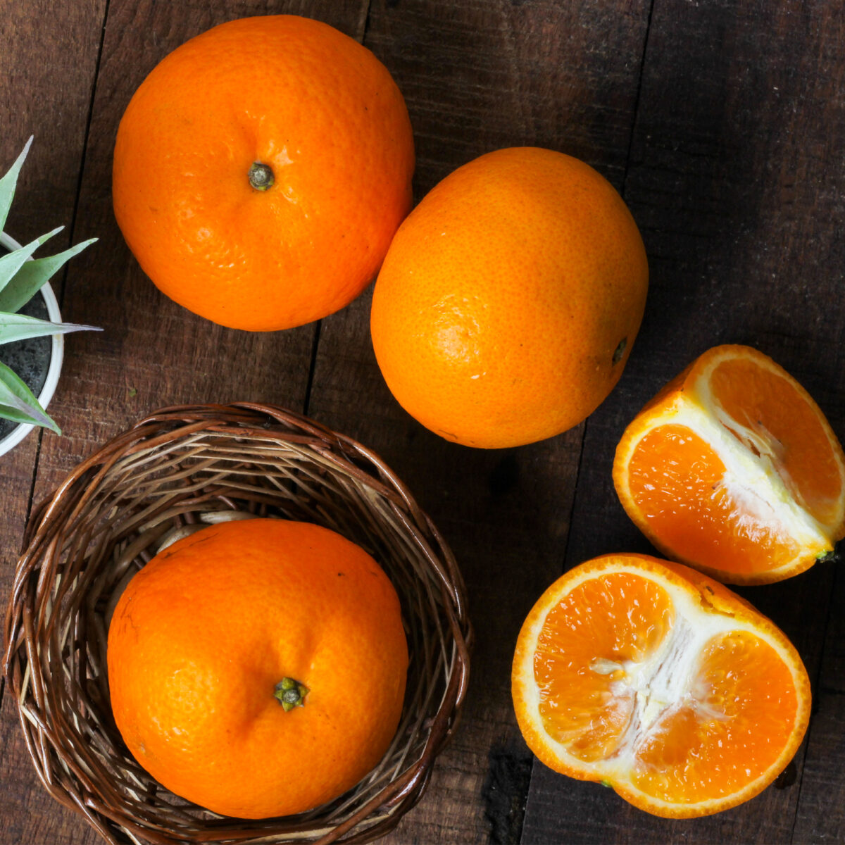 Urban Platter Certified Organic Fresh Kinnow Orange, 6 Units (Approx. 1kg)