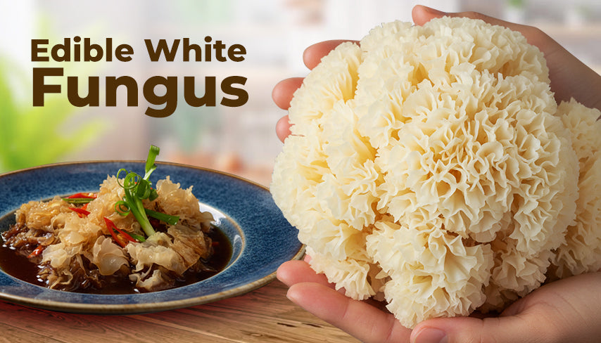 Health Benefits of White Fungus & How to Use It in Cooking