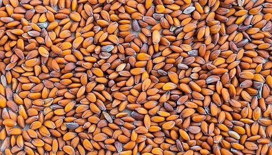 All About Watercress Seeds: Benefits and Uses