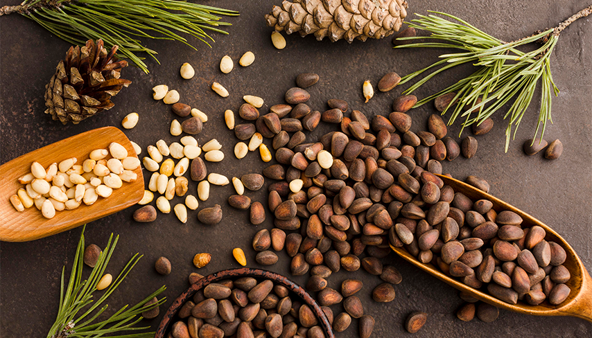 What Are Pine Nuts? Nutrition, Types & Uses Explained