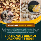 Urban Platter Brazil Nuts, 500g (Rich in Selenium | Superfood | Have 1 Daily | Product of Peru)