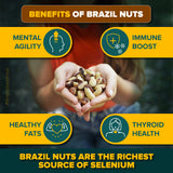 Urban Platter Brazil Nuts, 500g (Rich in Selenium | Superfood | Have 1 Daily | Product of Peru)