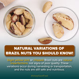 Urban Platter Brazil Nuts, 500g (Rich in Selenium | Superfood | Have 1 Daily | Product of Peru)