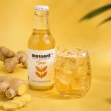 Ginger Kombucha, 200ml
