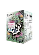 Life By Follis Raspberry Cream Black Tea, 20 Enveloped Tea Bags