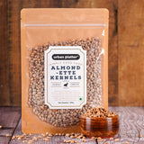 Urban Platter Almondette Kernels (Charoli or Chironji), 100g
