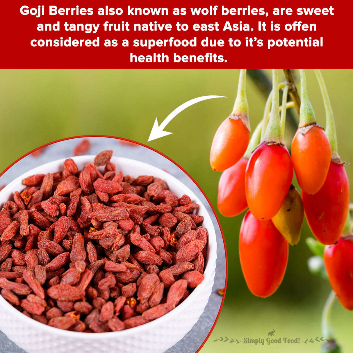 Urban Platter Goji Berries, (Antioxidant-Rich Superfood | Naturally Sweet & Chewy | Great for Snacking, Smoothies & Baking)