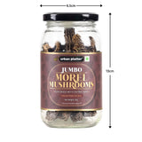 Urban Platter Dried Large Himalayan Morel Mushrooms without Tail (Gucci Mushroom), 30g