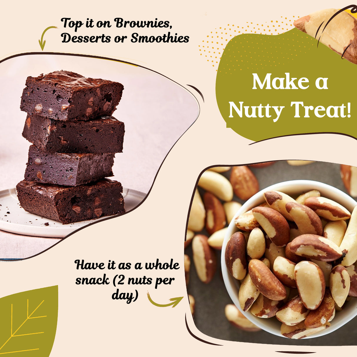 Urban Platter Brazil Nuts, (Rich in Selenium | Superfood | Have 1 Daily | Product of Peru)