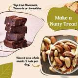 Urban Platter Brazil Nuts, (Rich in Selenium | Superfood | Have 1 Daily | Product of Peru)
