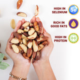 Urban Platter Brazil Nuts, (Rich in Selenium | Superfood | Have 1 Daily | Product of Peru)