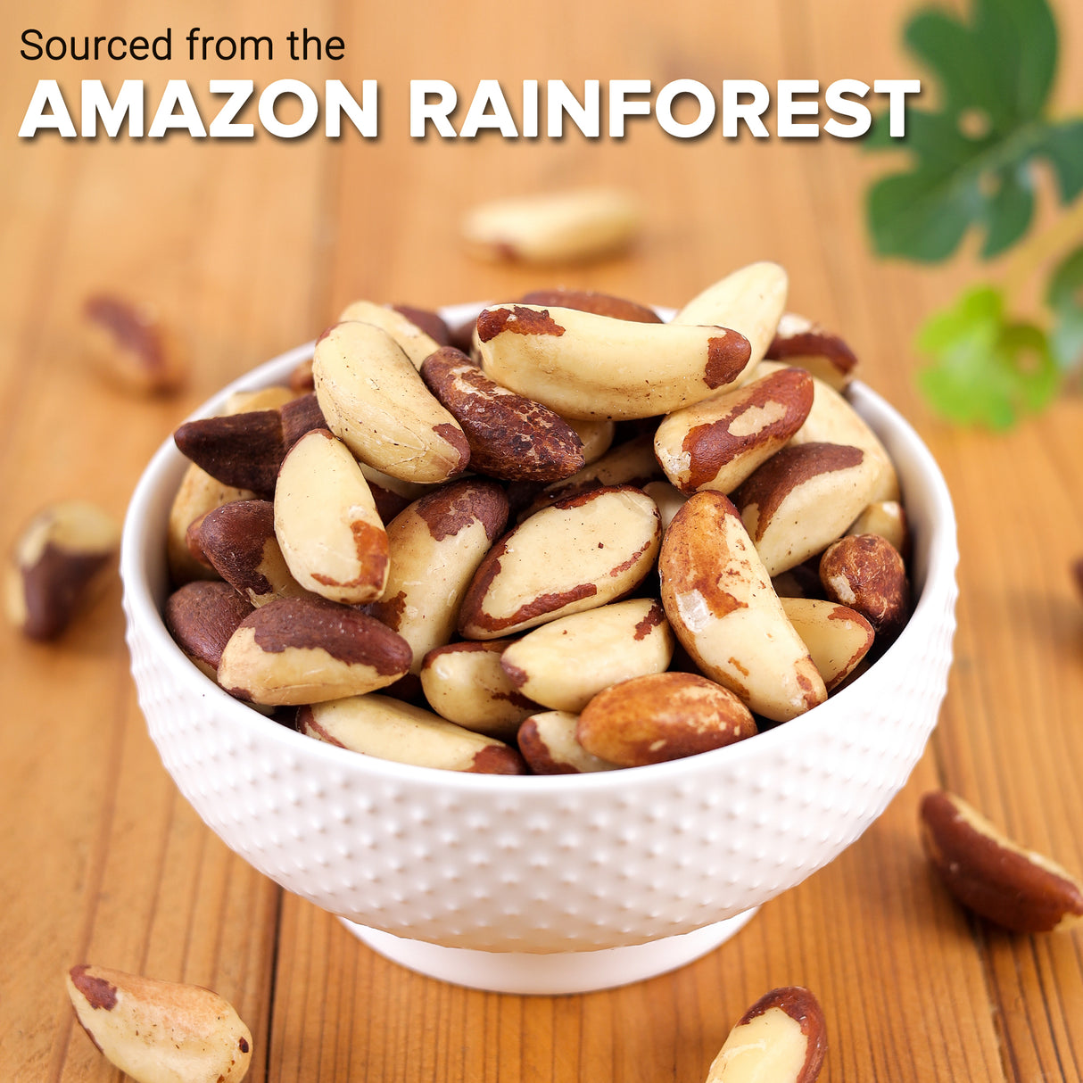 Urban Platter Brazil Nuts, (Rich in Selenium | Superfood | Have 1 Daily | Product of Peru)